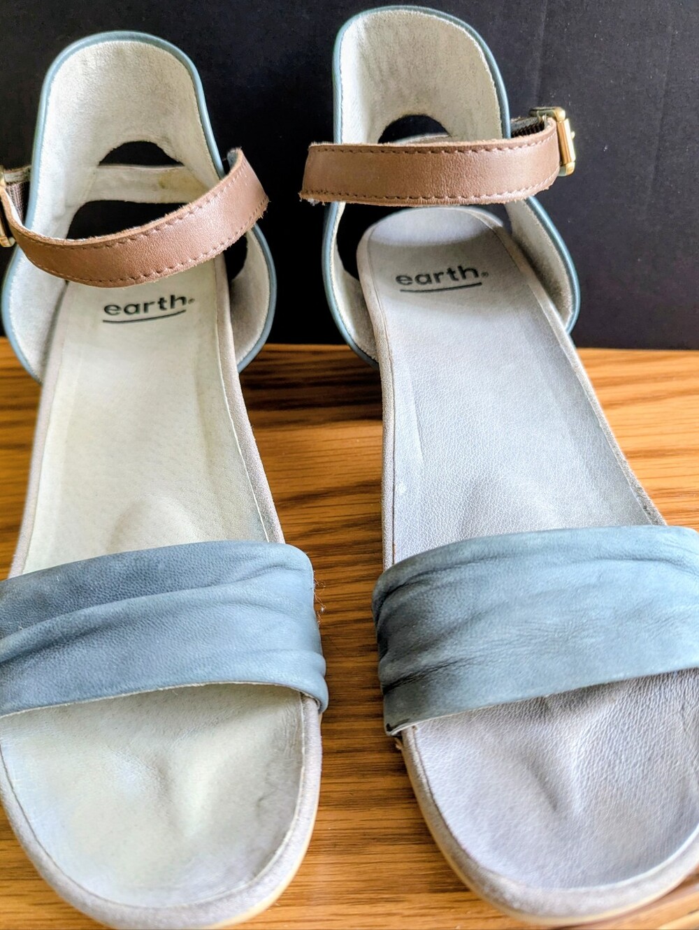 earth™ Women's Two-Tone Ankle Strap Sandals in Blue and Brown